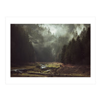 Foggy Forest Creek (Print Only)