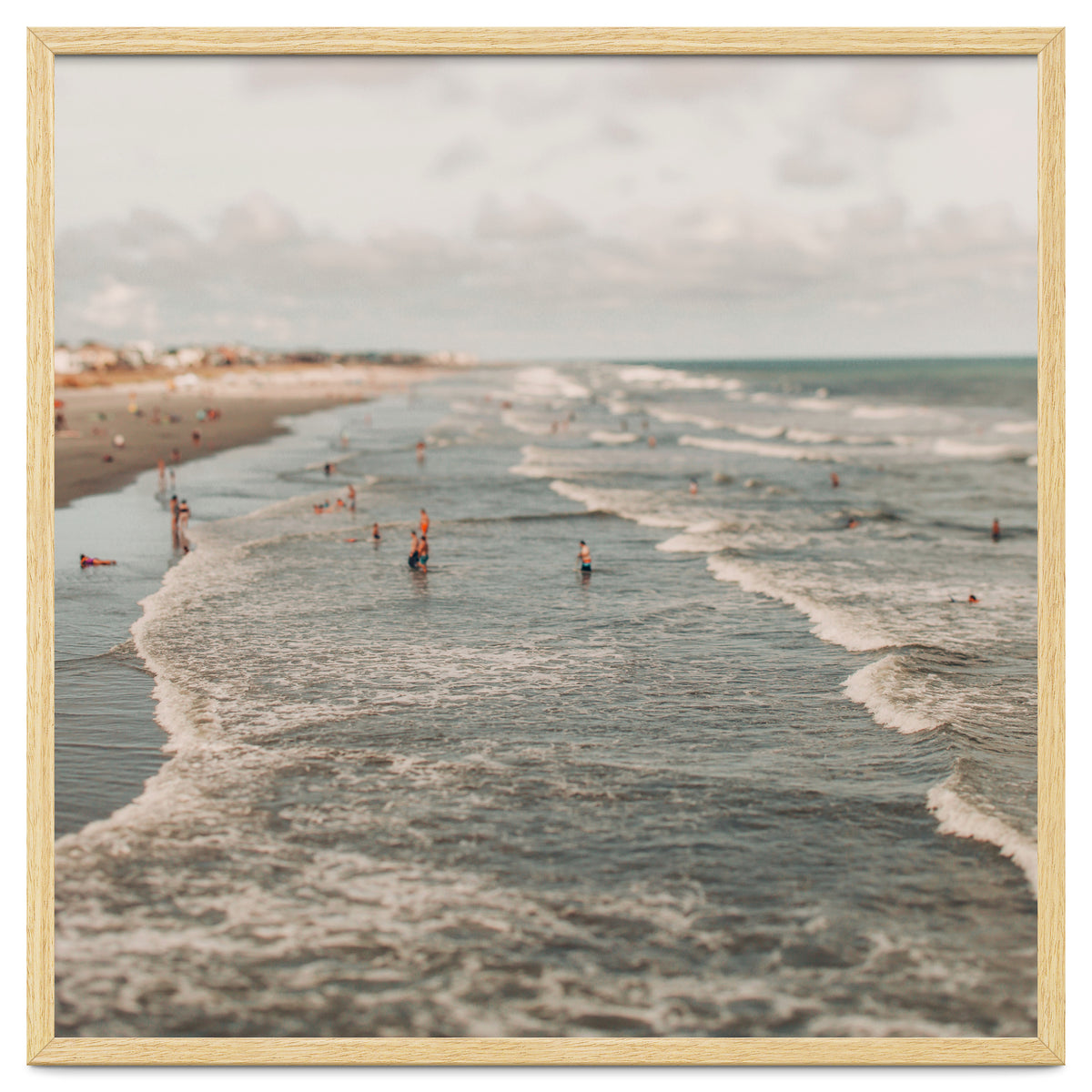 Searching For Summer