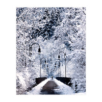 Snowy Bridge (Print Only)