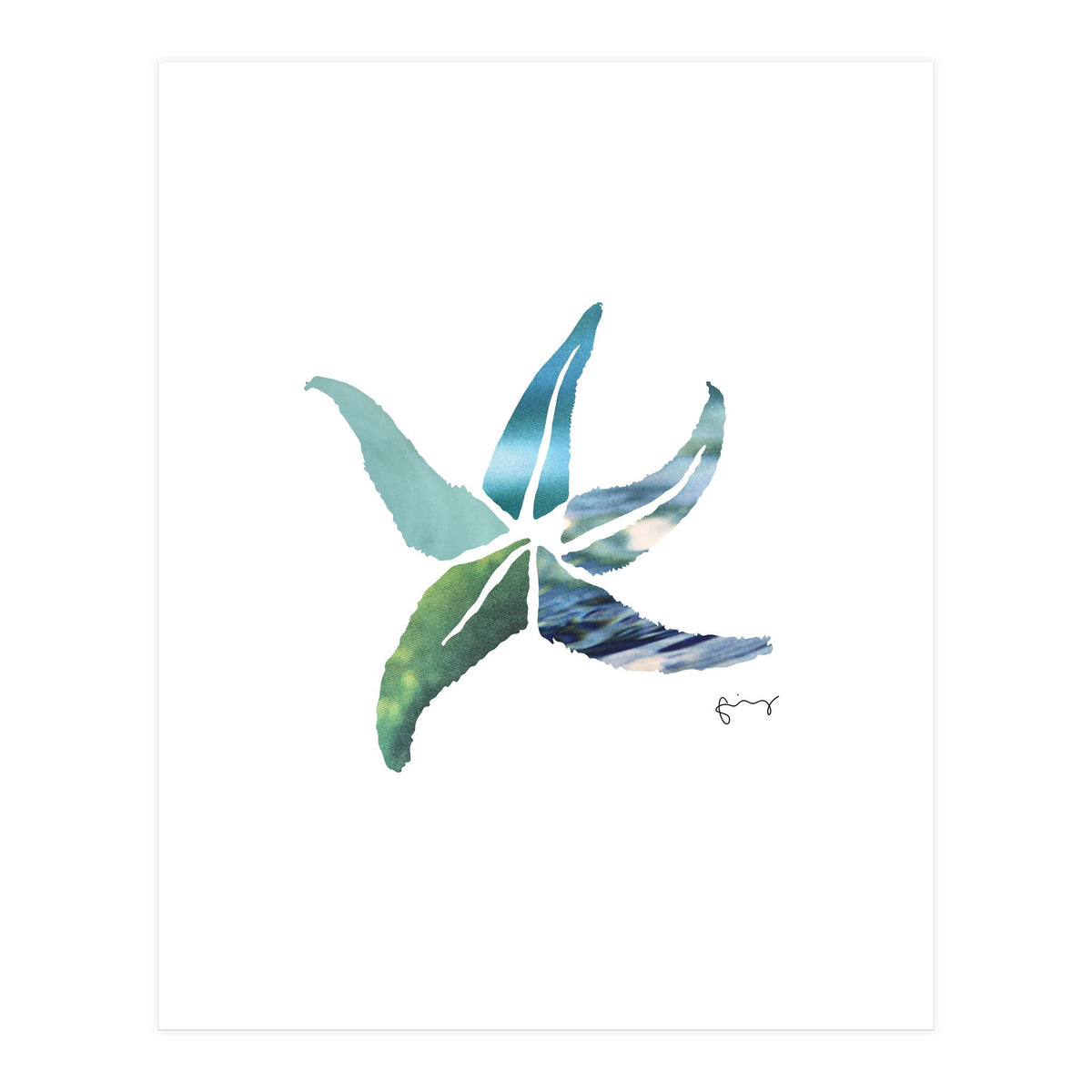 Starfish (Print Only)