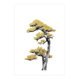 Bonsai Tree 04 (Print Only) thumbnail