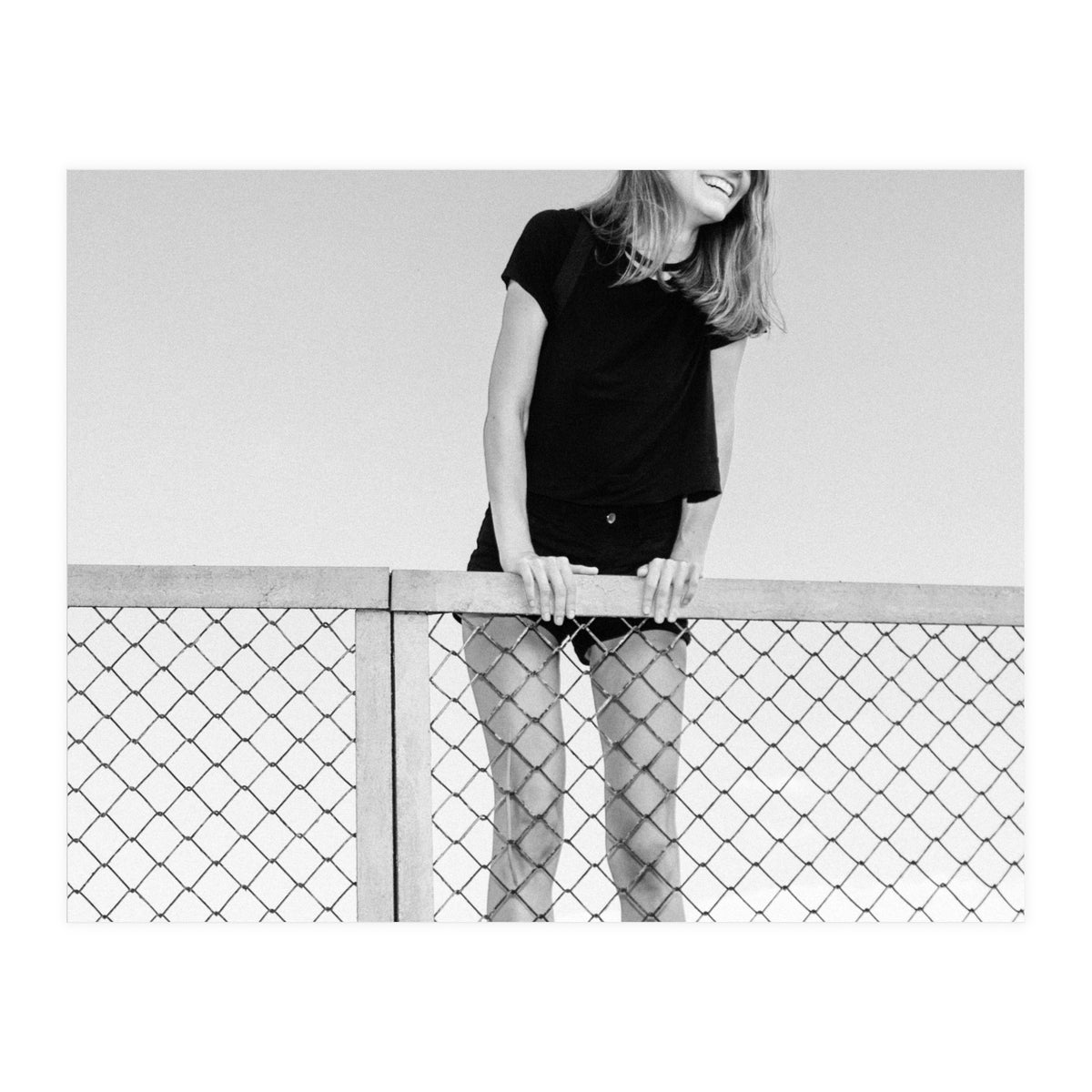 Hopping Fences (Print Only)