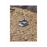 Traffic Jam (Print Only) thumbnail