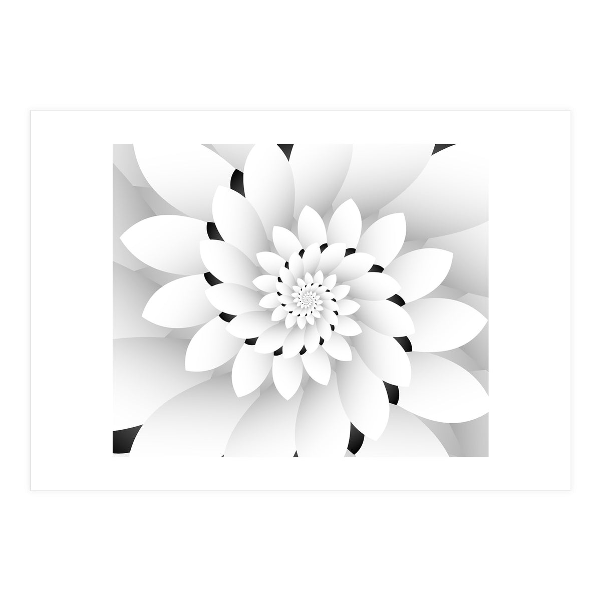 Monochrome Floral Design  (Print Only)