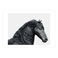 Friesian Horse (Print Only)