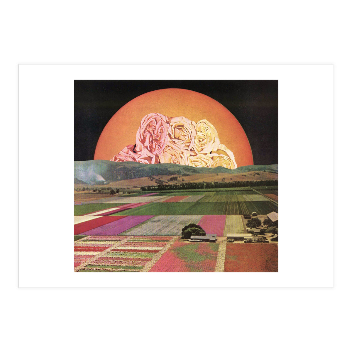 Untitled (Print Only)