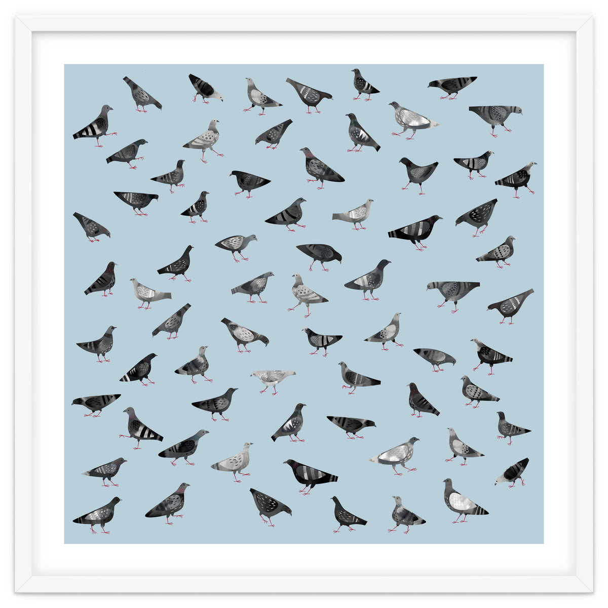 Pigeons Doing Pigeon Things