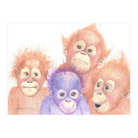 Orangutan Babies (Print Only)