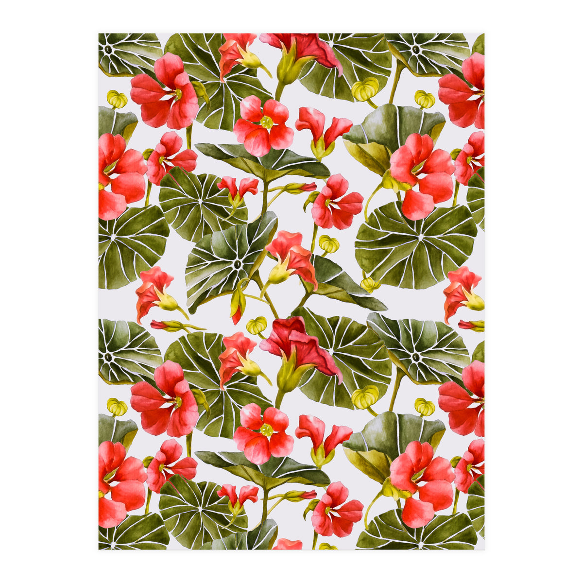 Nasturtiums watercolor 02 (Print Only)