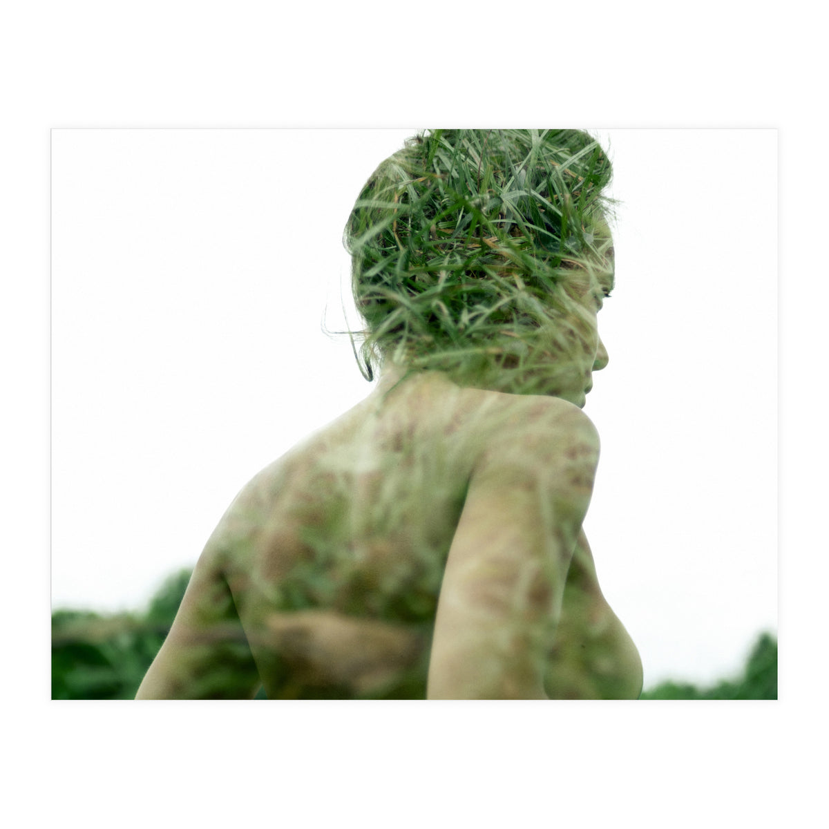 Grasshoppers (Print Only)