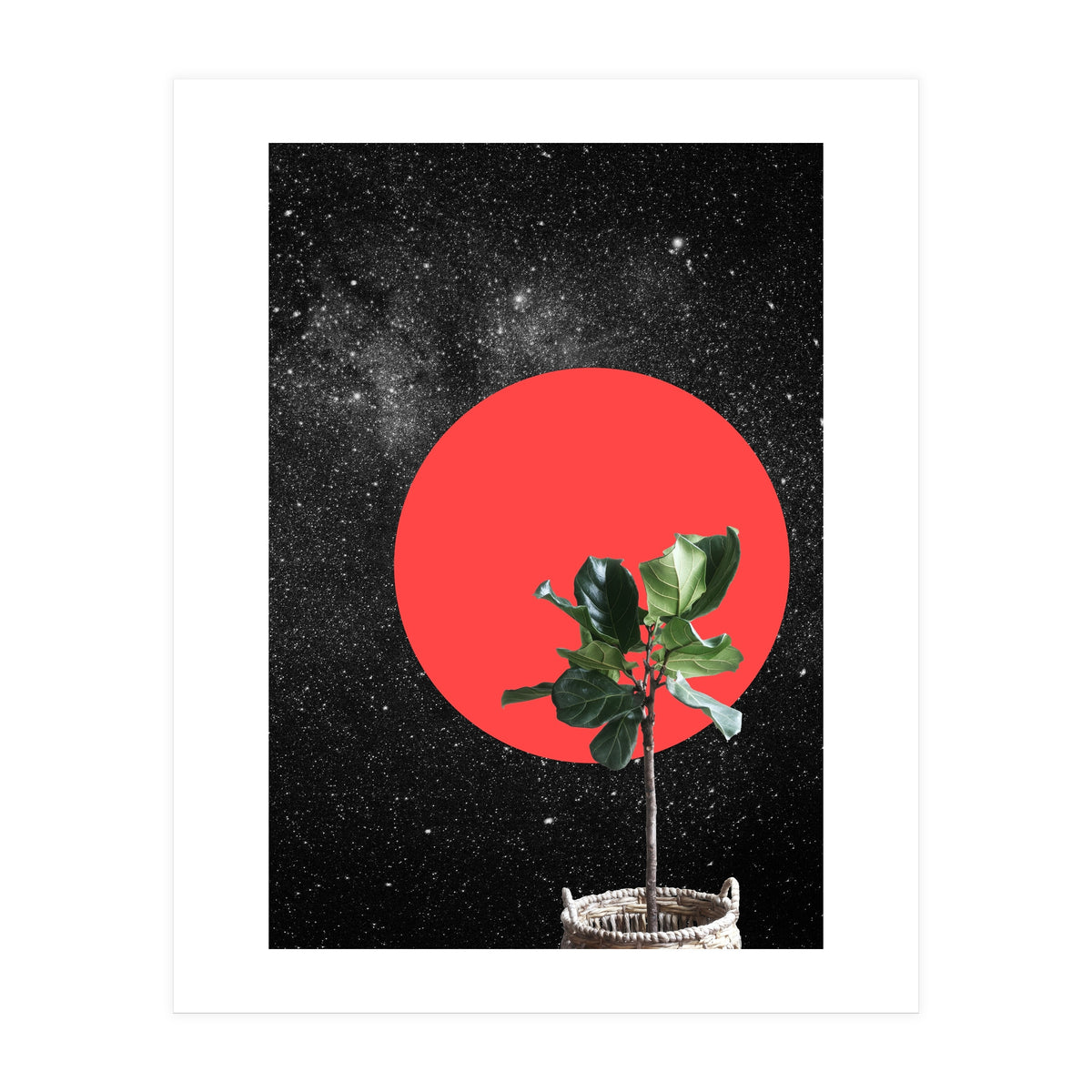 "Bonsai" - Digital Collage (Print Only)