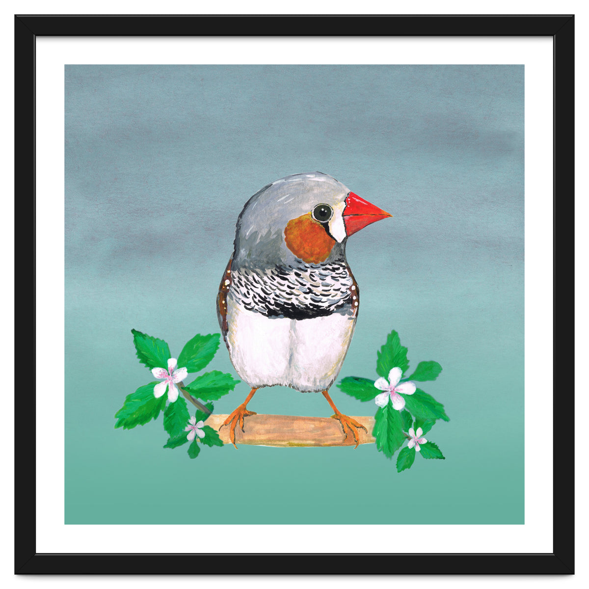Zebra finch