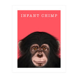 Infant Chimp (Print Only) thumbnail