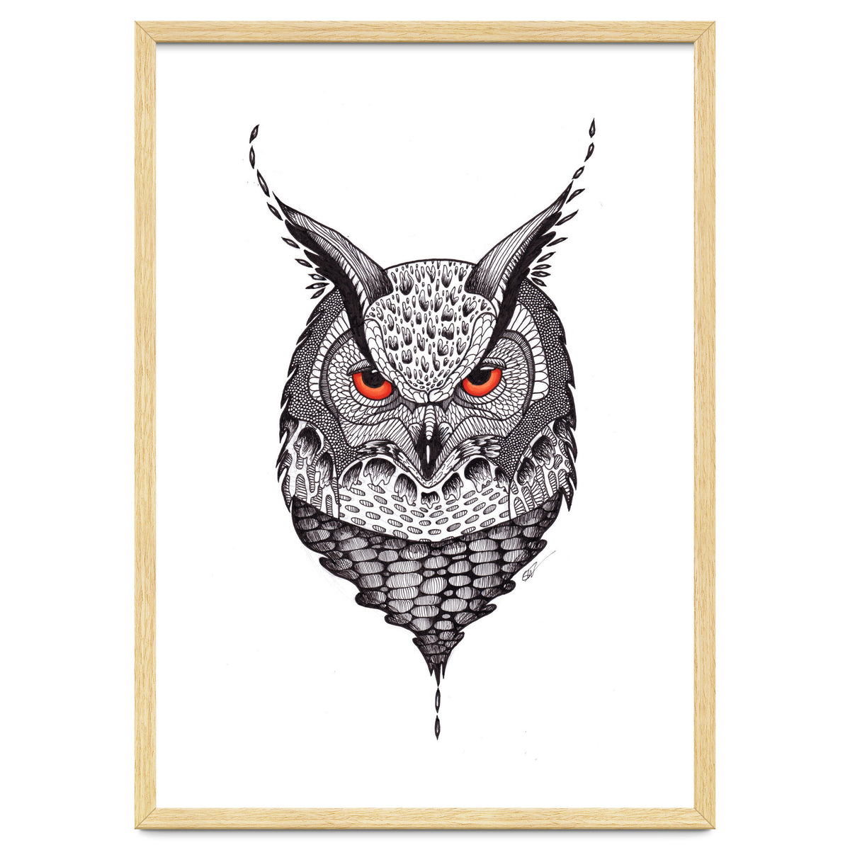 Owl