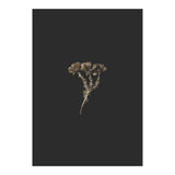 Gold Burst Botanicals (Print Only) thumbnail