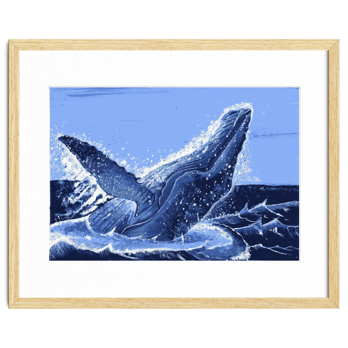 Humpback Whale Breaching