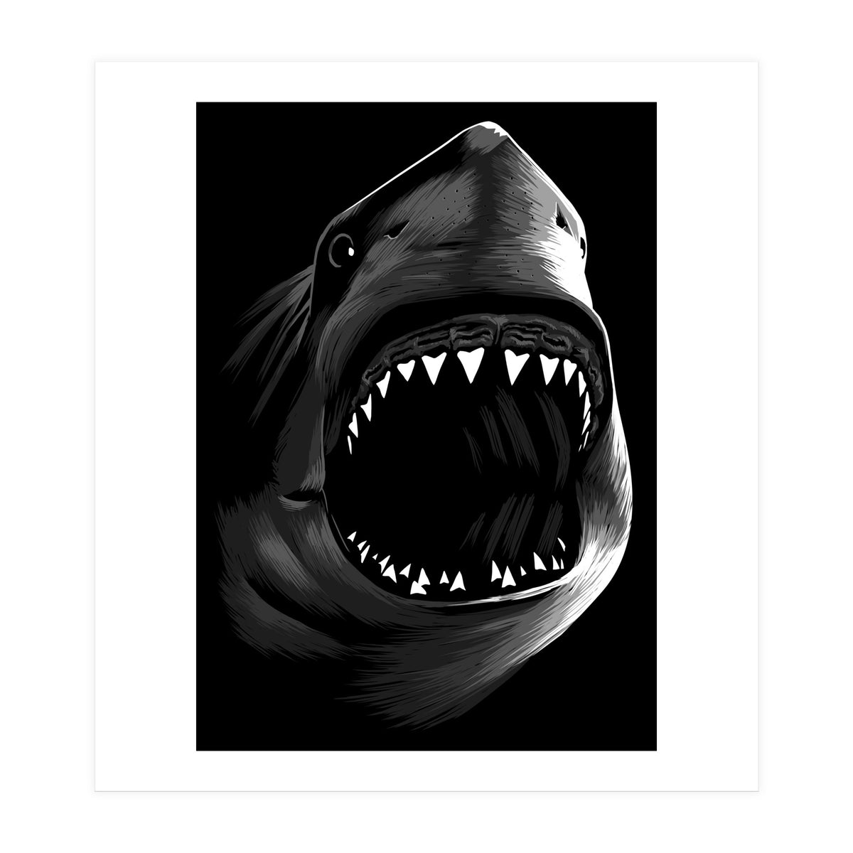 Great Shark White (Print Only)