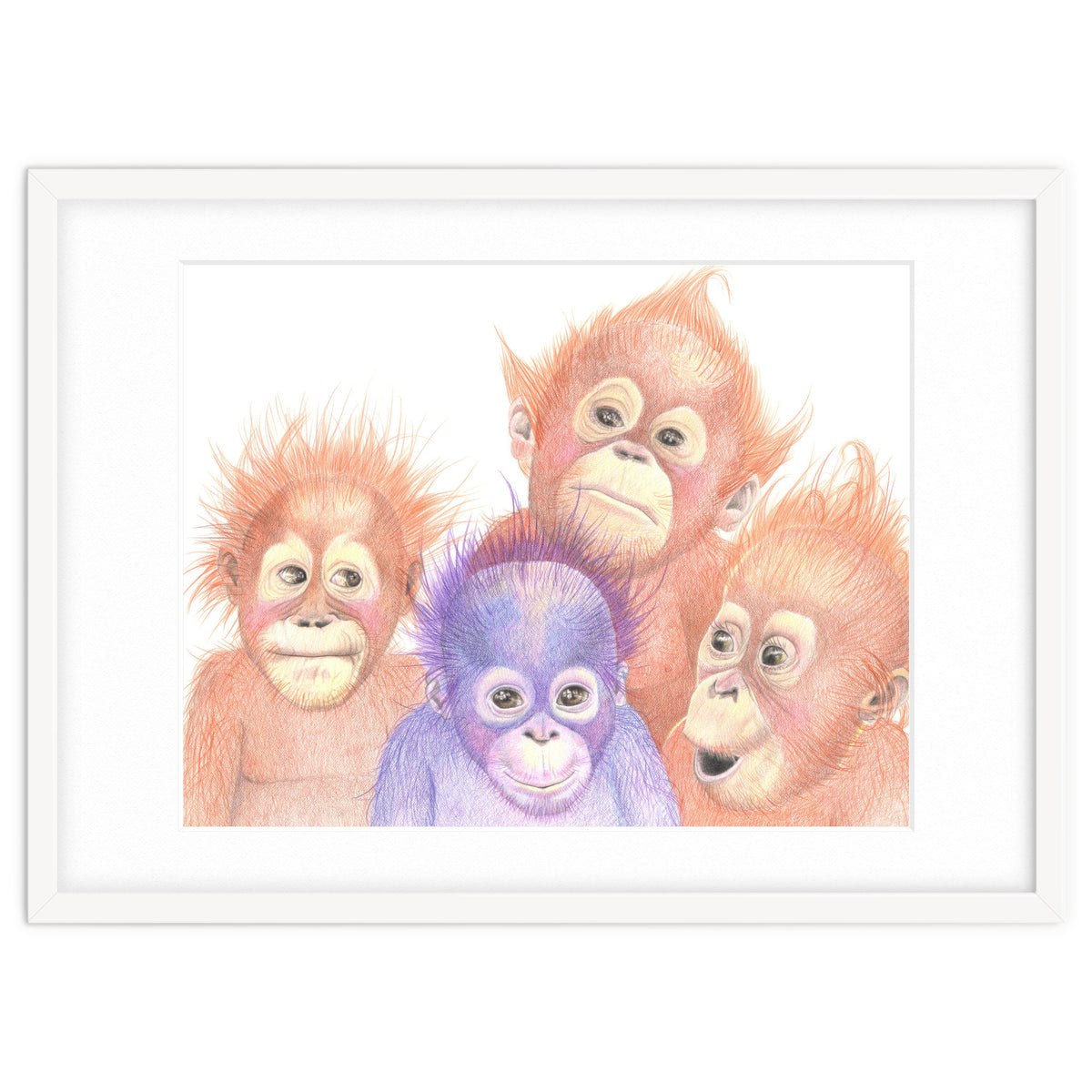 Orangutan Babies