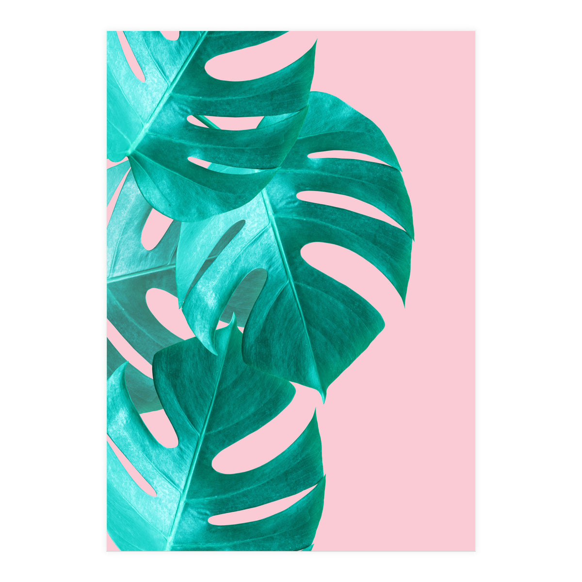 Tropical collage IV (Print Only)