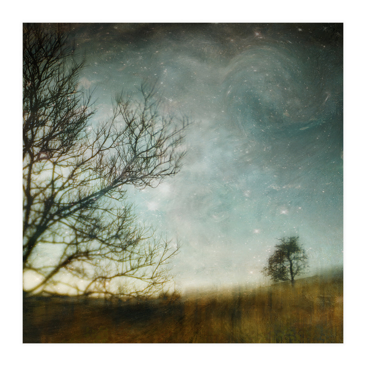 The Tree That Whispered (Print Only)