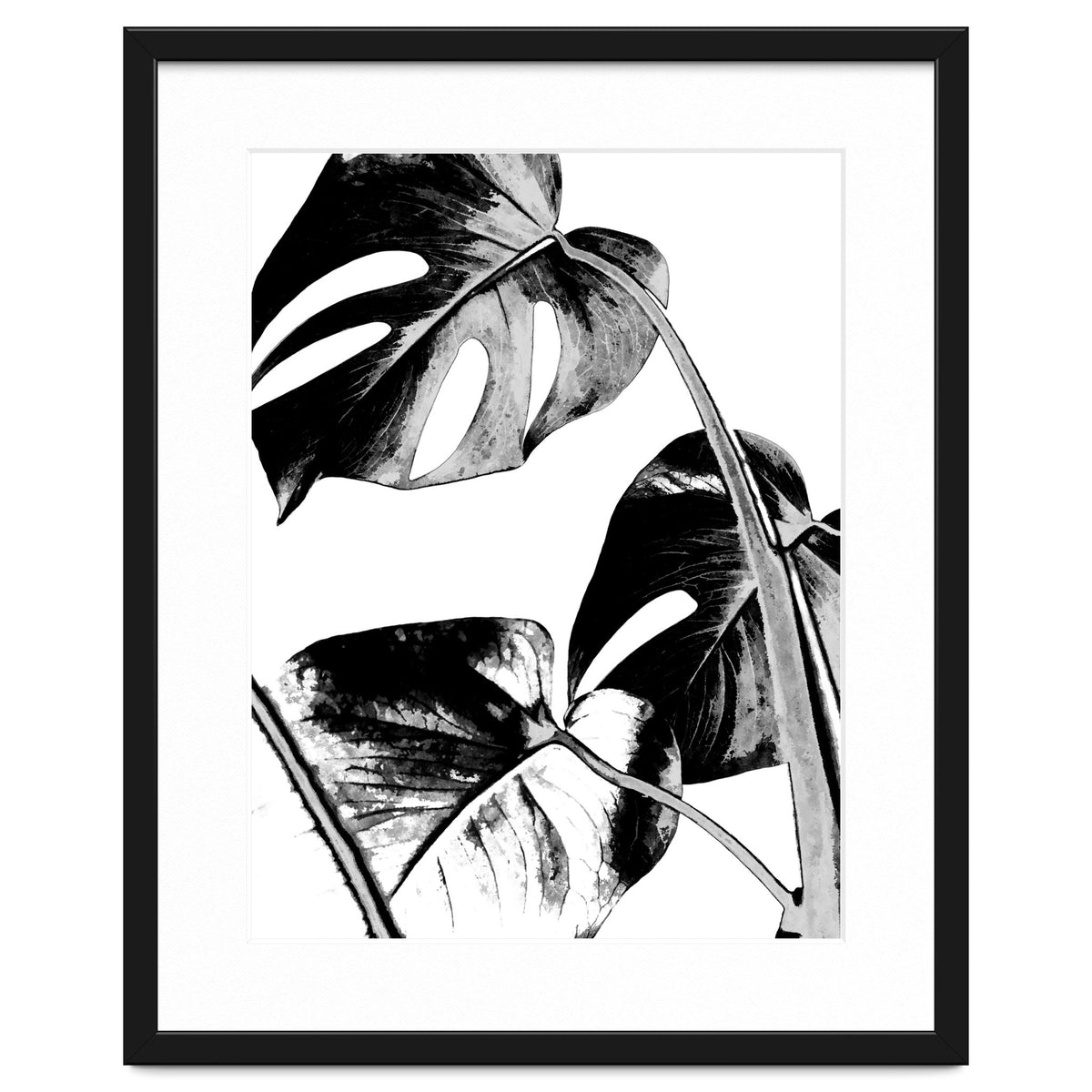 Black Tropical Leaves