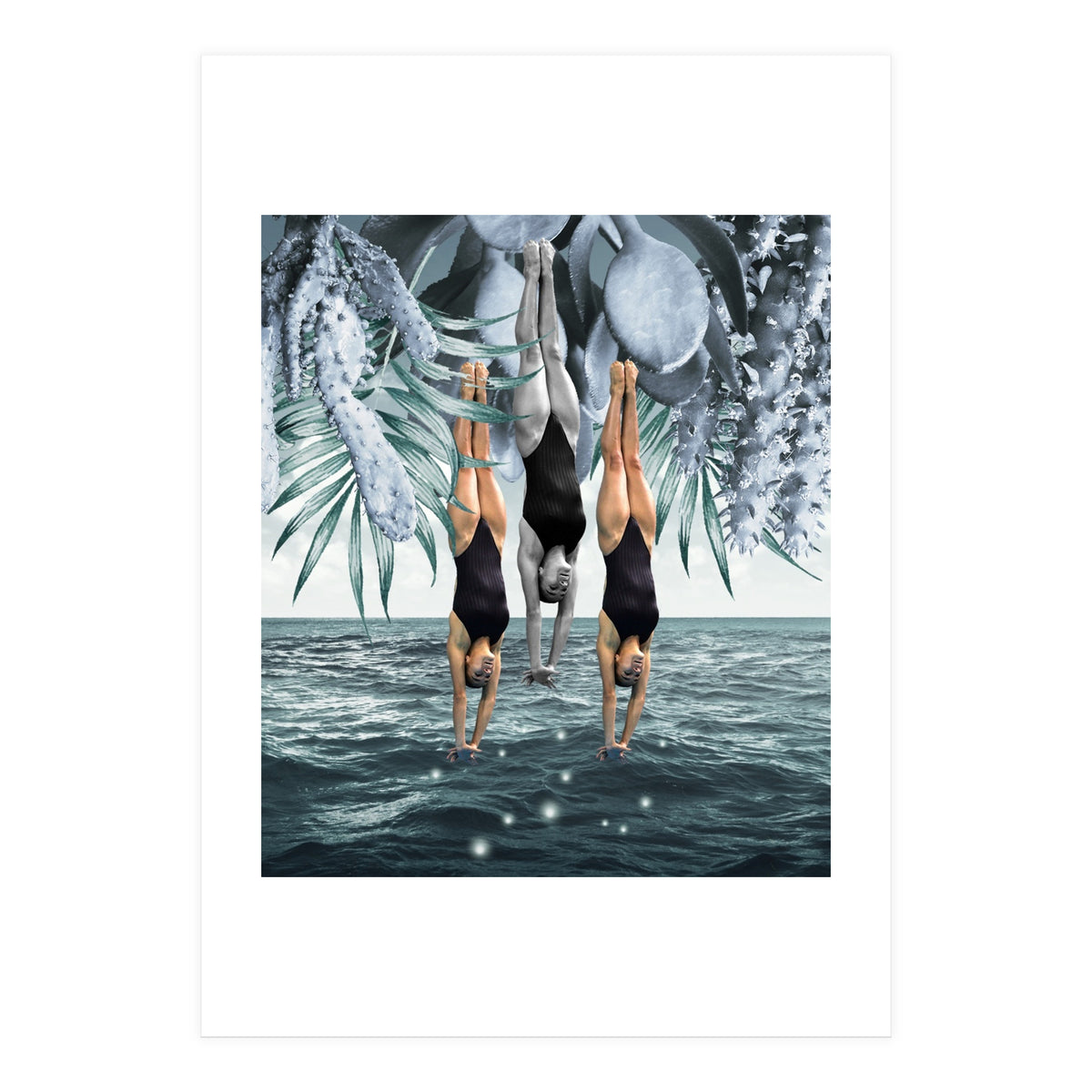 Dive Into (Print Only)