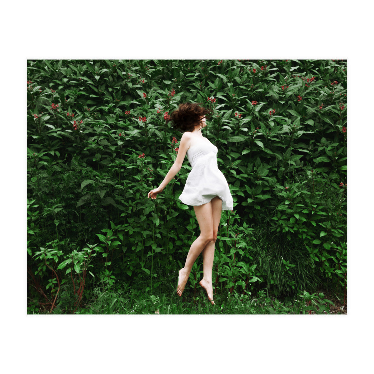 Greenfields (Print Only)