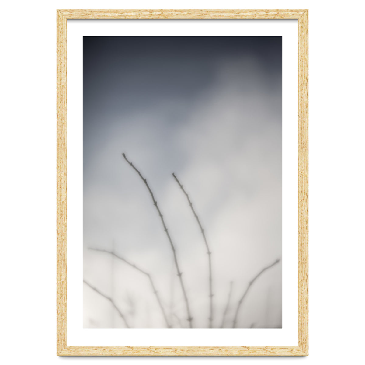 Forgotten Memories of summer #18