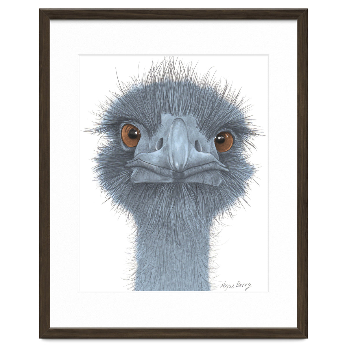 The Blue Emu