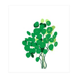 Pilea (Print Only) thumbnail