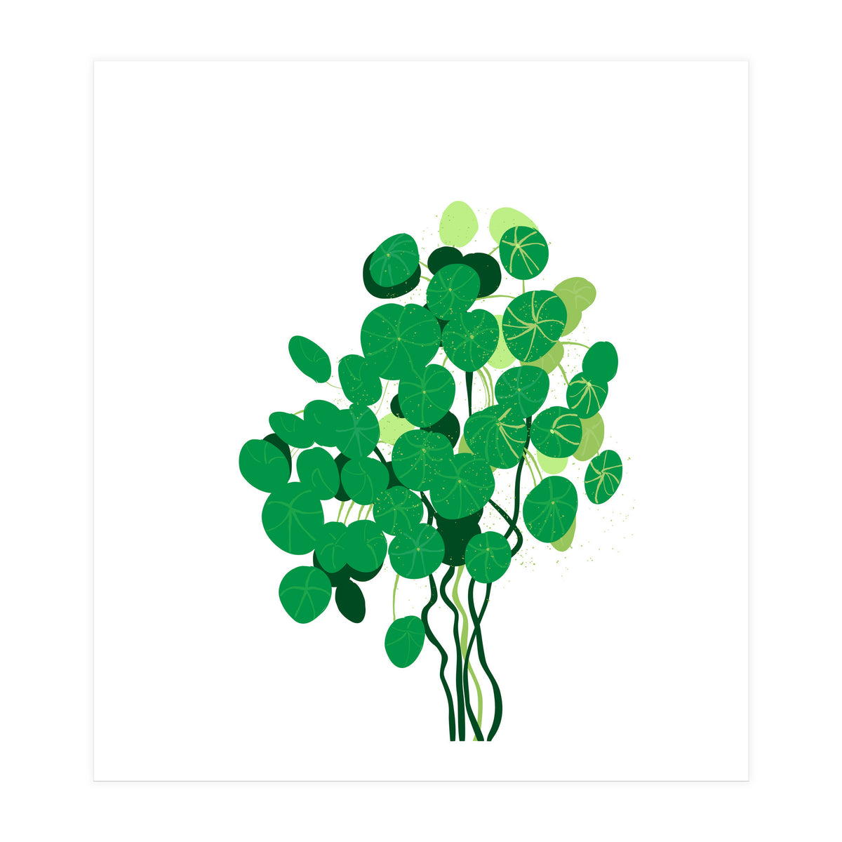 Pilea (Print Only)
