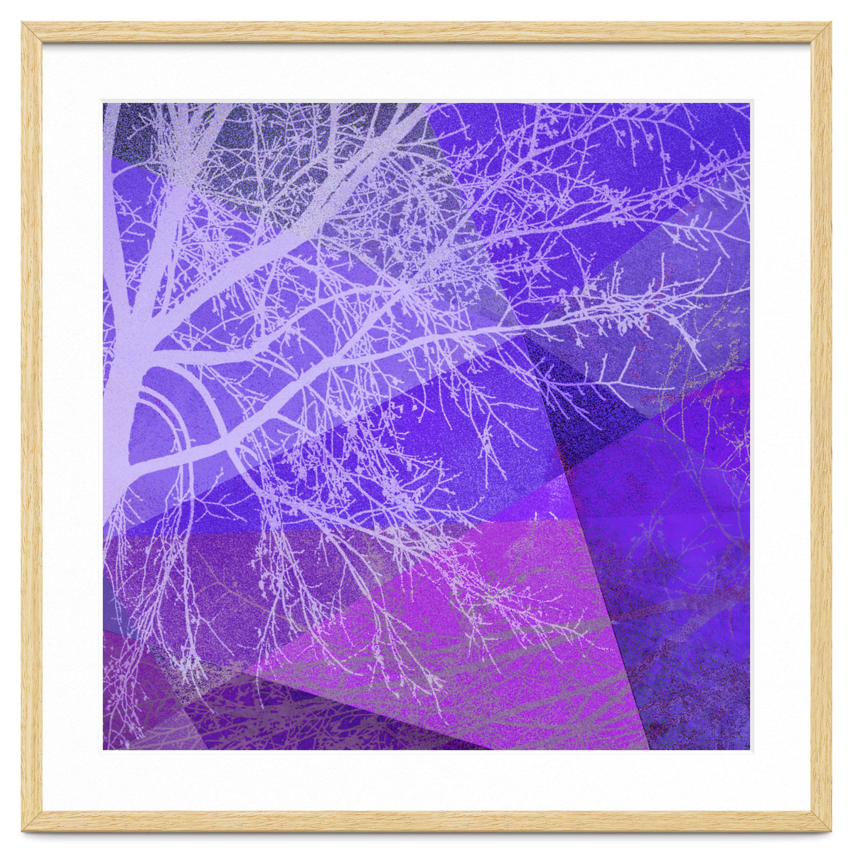 P19-D2 Trees and Triangles