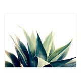 Botanical cactus I (Print Only) thumbnail
