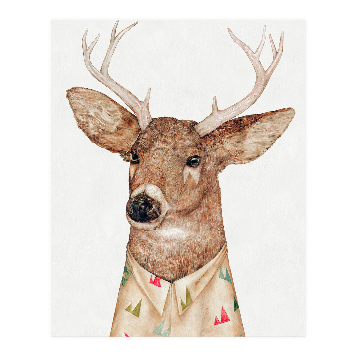 Whitetailed Deer (Print Only)