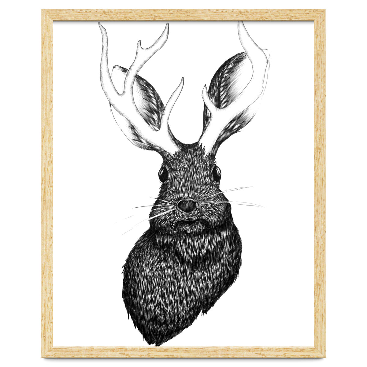 Jackalope