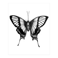 Butterfly Wings (Print Only)