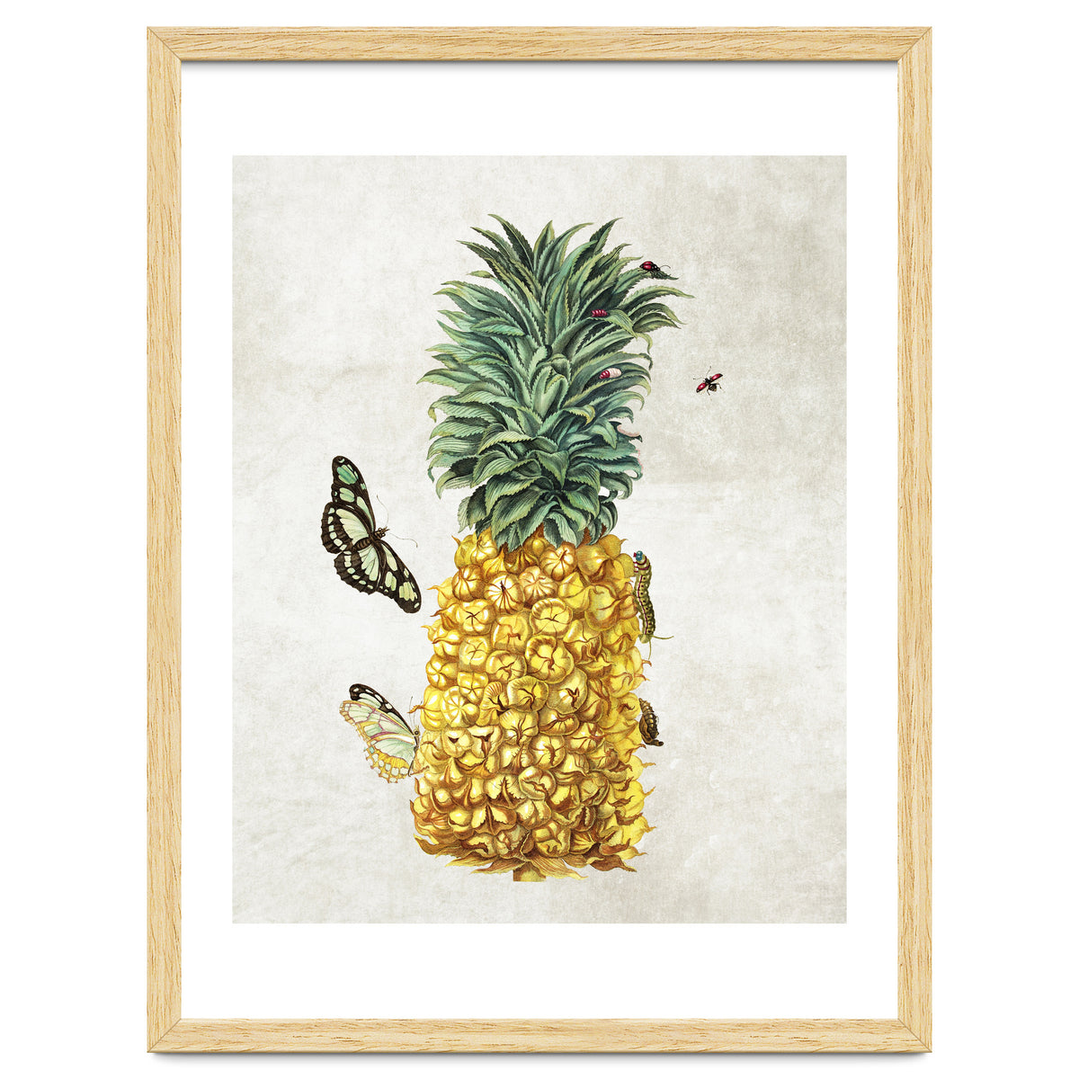ananas