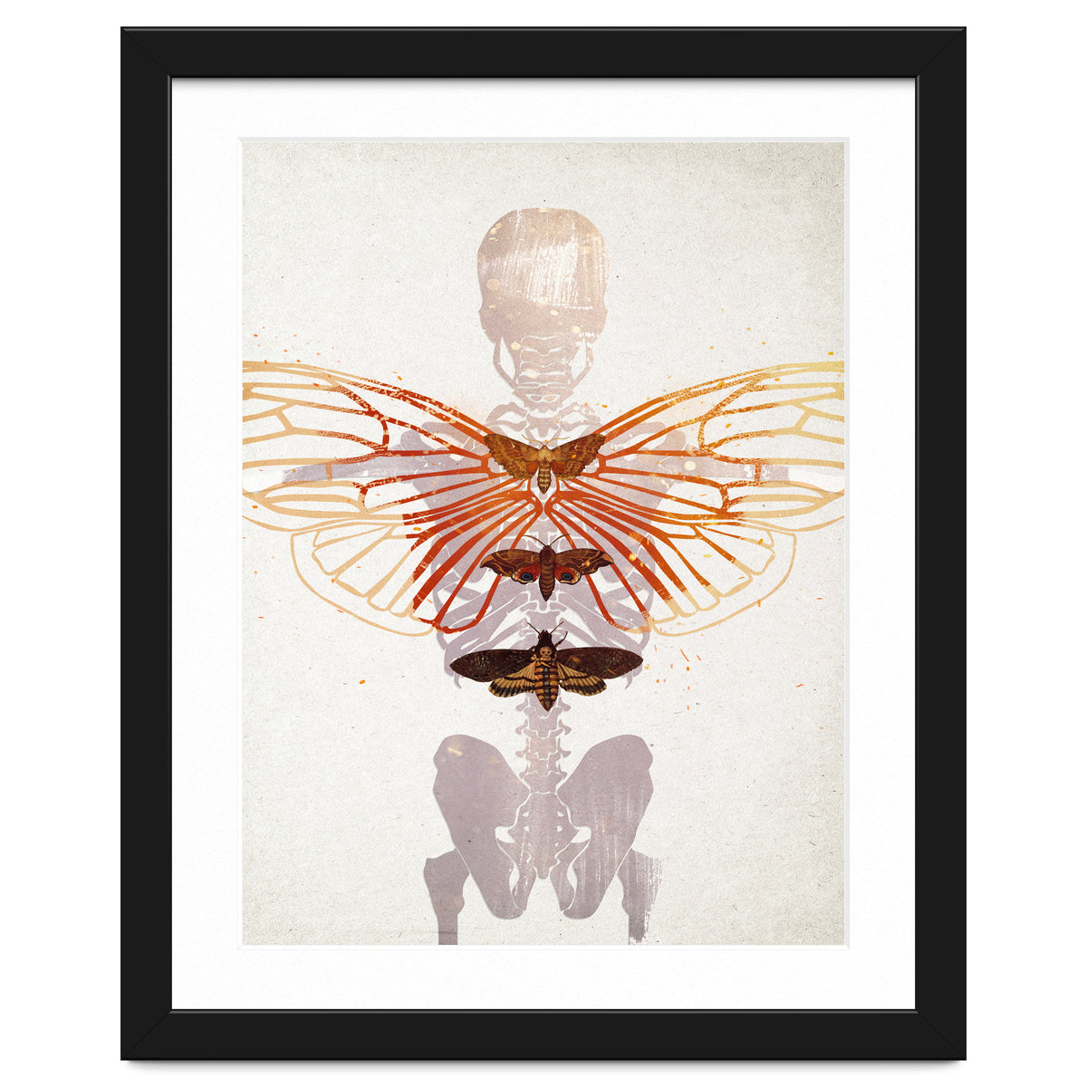 Ikarus - Like a Moth to the Flame