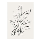 Banana Leafs Drawing (Print Only) thumbnail