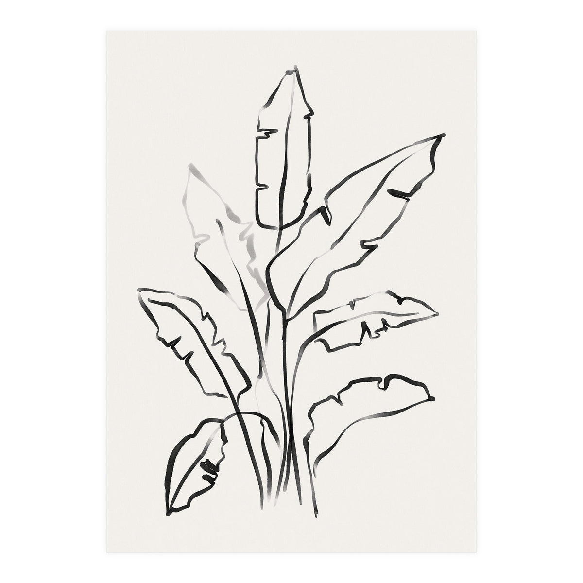 Banana Leafs Drawing (Print Only)