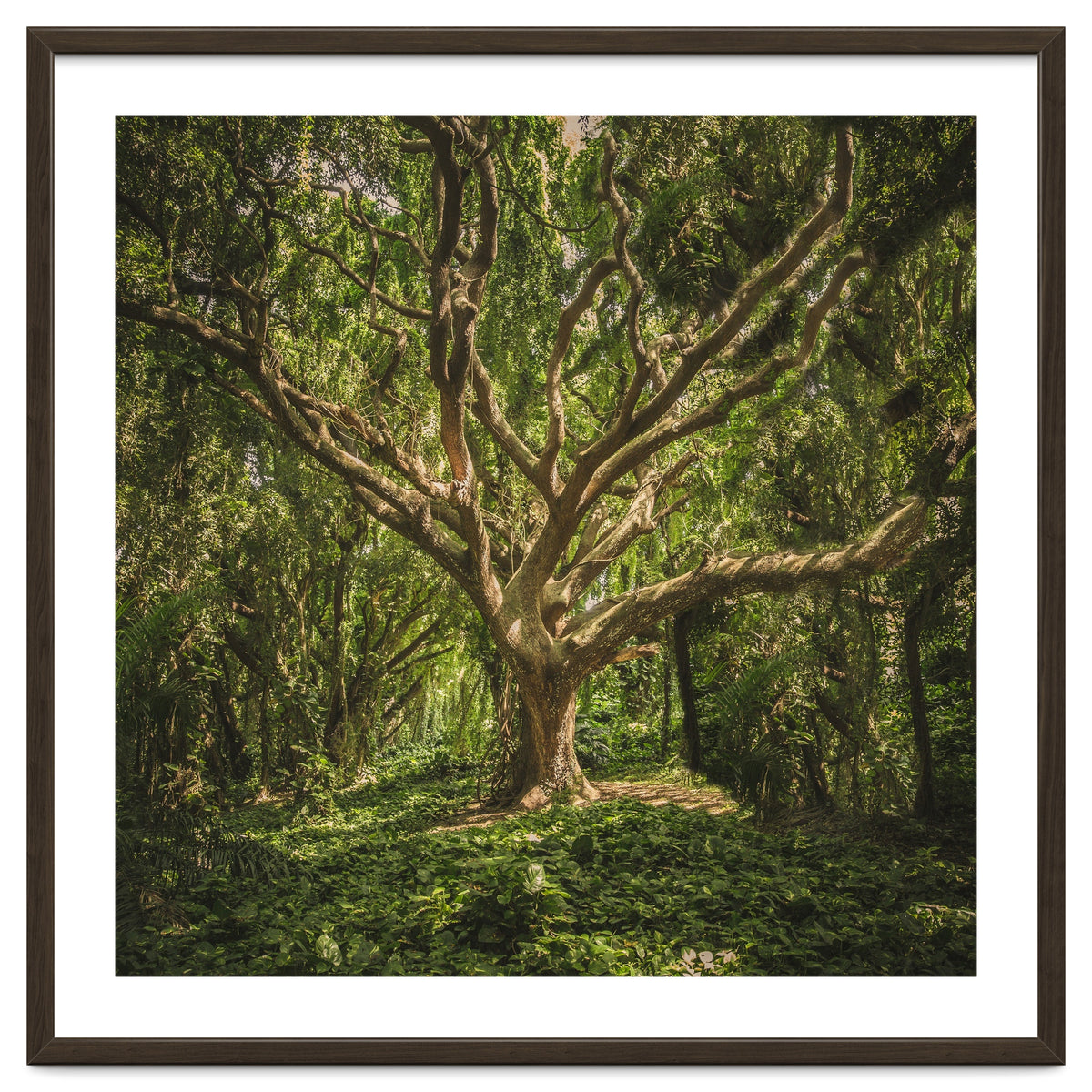 Spirits inside the wood