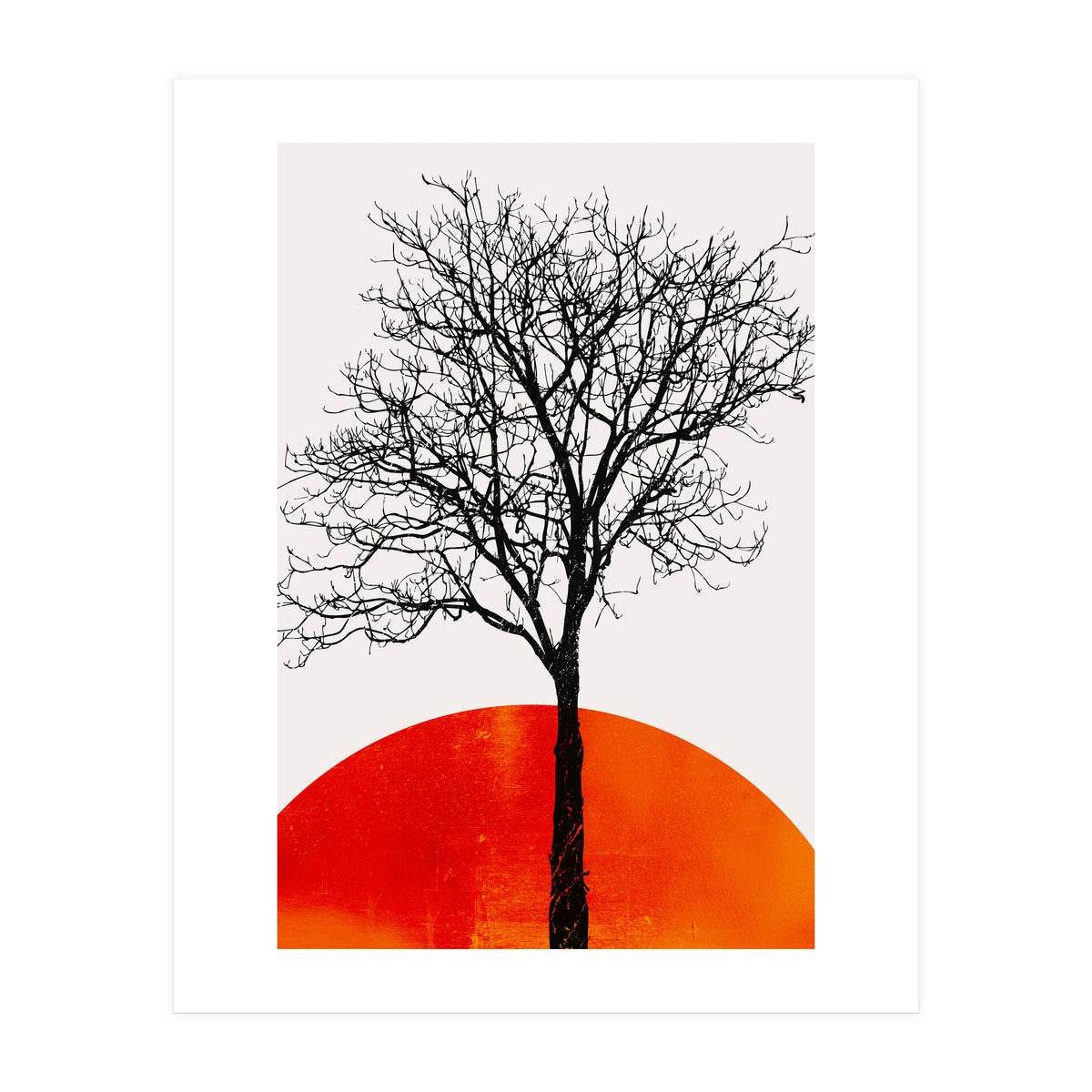 The Birch 3 (Print Only)
