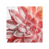 Rough Beauty 2 (Print Only) thumbnail