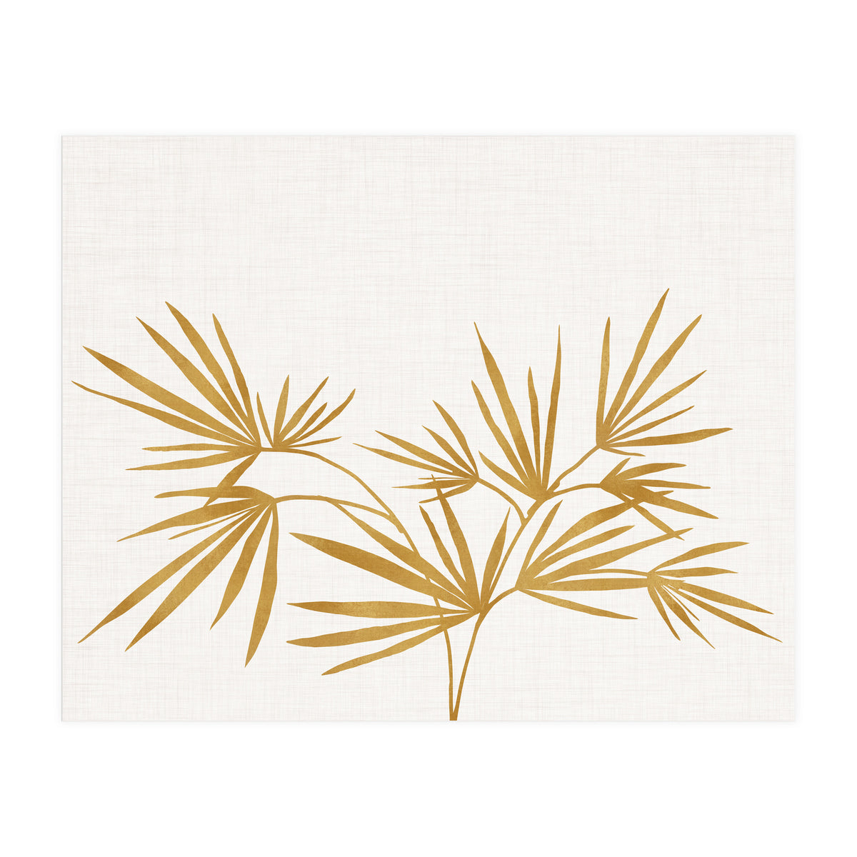 Golden Fan Palm (Print Only)