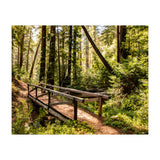 Ewoldsen Trail Bridge  (Print Only) thumbnail