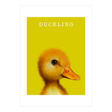 Duckling (Print Only) thumbnail