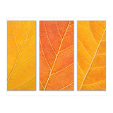 Autumn Leaves (Print Only) thumbnail