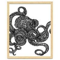 Barnacle Octopus