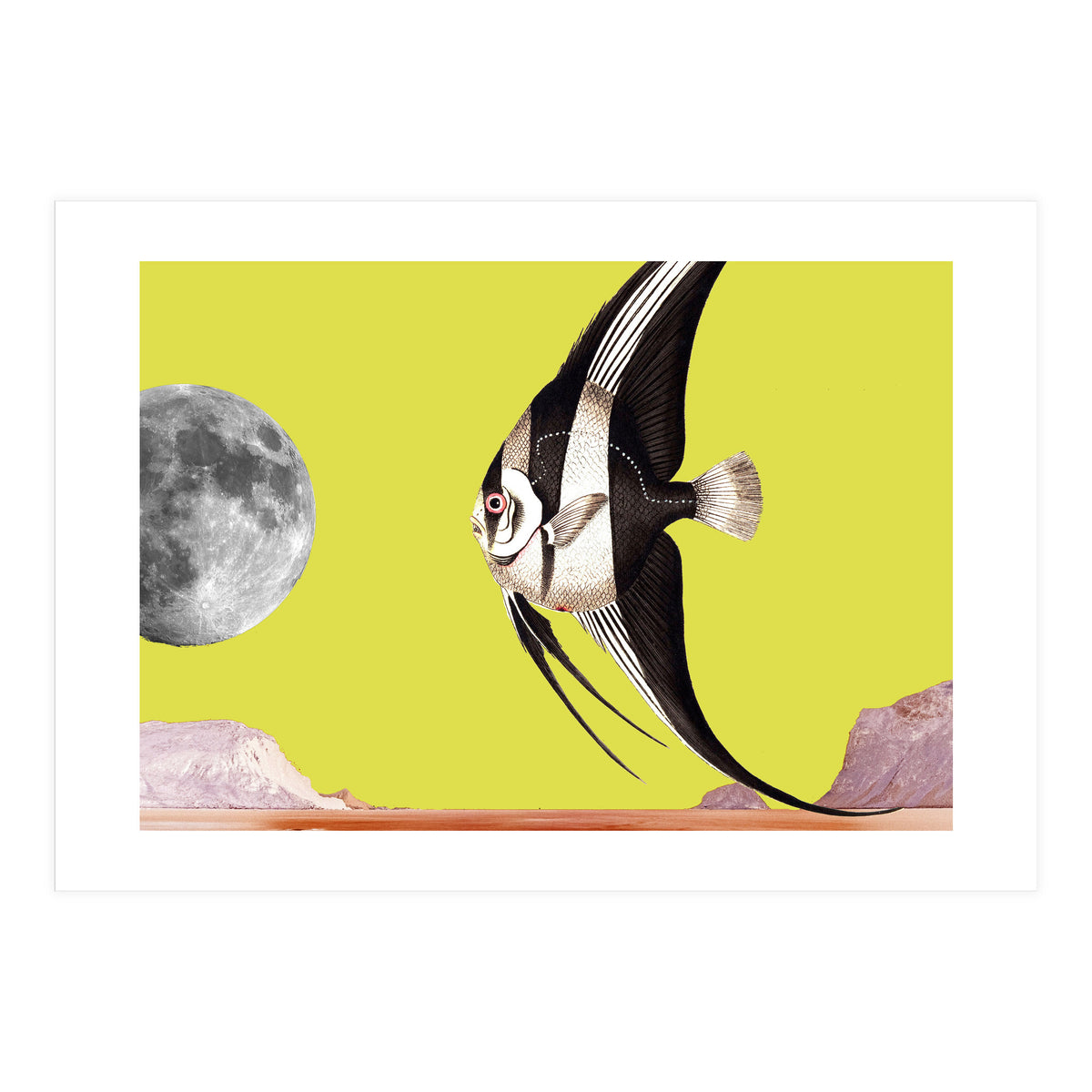 Plenty of fish in the sea yellow (Print Only)