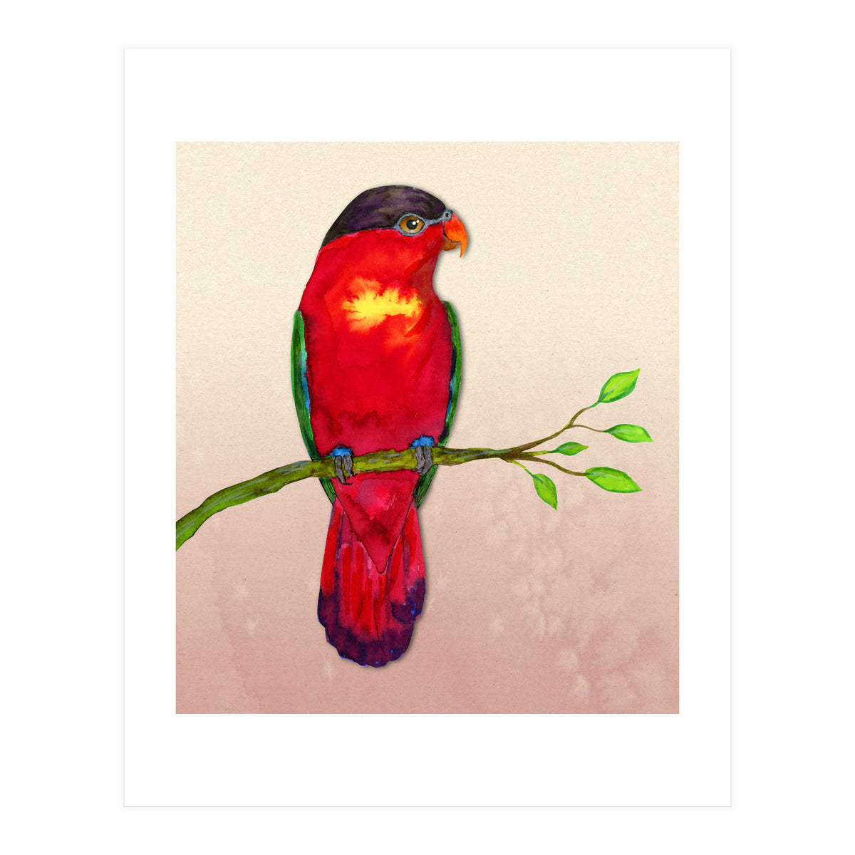Purple-naped lory (Print Only)